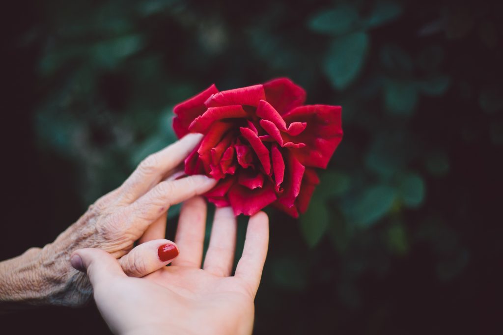 Why Should We “Embrace Elderhood?”